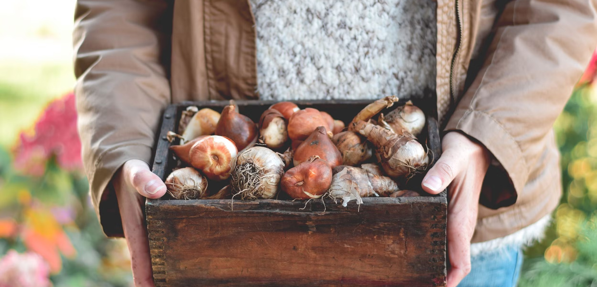 Artificial Plant Shop -Artificial Plant Shop 1