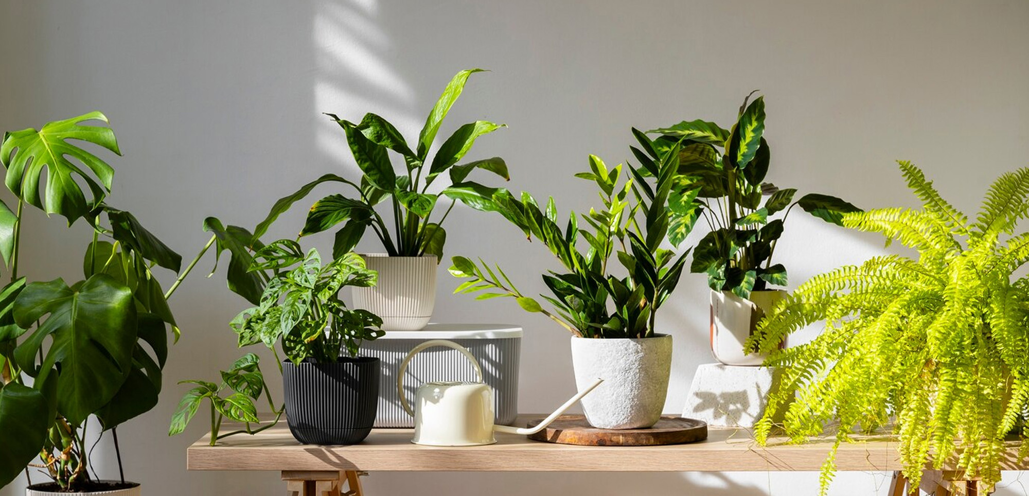 Artificial Plant Shop -Artificial Plant Shop 2
