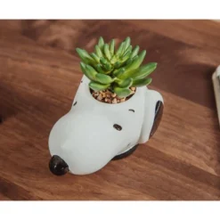 Silver Buffalo Peanuts Snoopy Face Ceramic Mini Planter With Artificial Succulent | 3.5"L X 5" H X 5" W -Artificial Plant Shop GUEST 09190d44 1dce 4621 8b23 40fb8f83f395