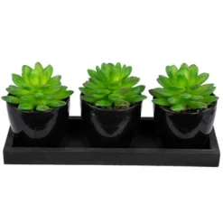 Northlight Mini Artificial Potted Succulents With Wood Planter - 5" - Set Of 3 -Artificial Plant Shop GUEST 0b740f21 e321 428b 8c81 71ecef4764f8