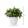 Nearly Natural 11-in Artificial Boxwood Plant With Decorative Planter -Artificial Plant Shop GUEST 107c4def e31e 4a5a 99f9 2ce2fae16de6