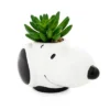 Silver Buffalo Peanuts Snoopy Face Ceramic Mini Planter With Artificial Succulent | 3.5"L X 5" H X 5" W 1 Silver Buffalo Peanuts Snoopy Face Ceramic Mini Planter With Artificial Succulent | 3.5"L X 5" H X 5" W -Artificial Plant Shop GUEST 14e58f74 cee6 4fe0 a833 e51ed24eef3a