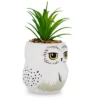 Silver Buffalo Harry Potter Hedwig 3-Inch Ceramic Mini Planter With Artificial Succulent -Artificial Plant Shop GUEST 15457b5c e817 418b 9424 d810595f6e0f