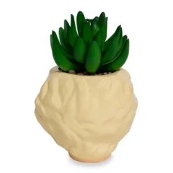 Silver Buffalo The Golden Girls Rose 3.25-Inch Ceramic Mini Planter With Artificial Succulent -Artificial Plant Shop GUEST 163b912f c421 42ec 8766 21be5282e4ac