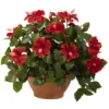 Nearly Natural Hibiscus With Clay Planter -Artificial Plant Shop GUEST 16aee8b8 a461 4871 9c18 52d30beb94ca