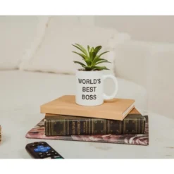 Silver Buffalo The Office "World's Best Boss" 3-Inch Ceramic Mini Planter With Artificial Succulent -Artificial Plant Shop GUEST 18029b7c b99e 46e2 941d bbb180aa567c