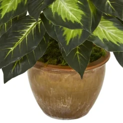 Artificial Plant Shop -Artificial Plant Shop GUEST 1a066577 d1d9 49d1 8ac0 3c575038298e