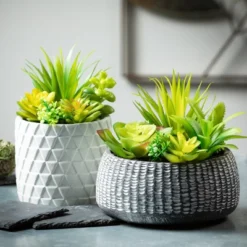 Sullivans Artificial Succulent In Cement Planter 6"H Green -Artificial Plant Shop GUEST 1a155e1c 360c 4251 802f 1b02e34ab2e4