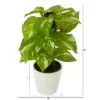 Nearly Natural 9-in Pothos Artificial Plant In White Planter (Real Touch)