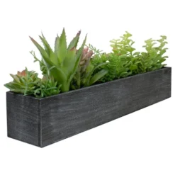 Northlight 23" Artificial Mixed Succulent Plants In A Rectangular Planter -Artificial Plant Shop GUEST 1ed79176 5464 4608 a061 e2f4065fbd85