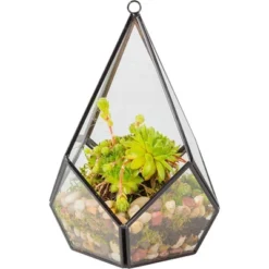 D'Eco Glass Geometric Plant Terrarium (5.7x5.7x7) - Indoor Tabletop & Hanging Teardrop Planter Holiday Decor - Christmas Gift For Plant Lovers -Artificial Plant Shop GUEST 21db12de 075f 4b20 aef5 13ce5500076b