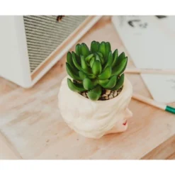 Silver Buffalo The Golden Girls Rose 3.25-Inch Ceramic Mini Planter With Artificial Succulent -Artificial Plant Shop GUEST 21e9dfff 5eeb 4c30 a86c 9ca878600641