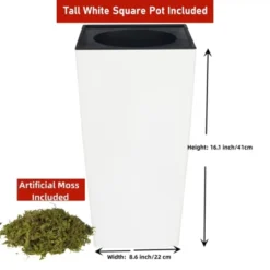 5ft Artificial Palm Tree In White Planter Faux Tropical Plant For Indoor Outdoor Office House Decor With 2 Trunks -Artificial Plant Shop GUEST 241874aa bfc8 4833 9c9b 356ed2734bee