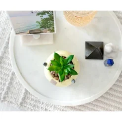 Silver Buffalo Avatar: The Last Airbender Appa 6-Inch Ceramic Planter With Artificial Succulent -Artificial Plant Shop GUEST 271dc4e3 33a7 4e91 9e21 c6286ac9cbe6