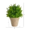 Nearly Natural 8-in Boxwood Artificial Plant In Decorative Planter -Artificial Plant Shop GUEST 2834b26f c159 460a bc10 2e746bd75504