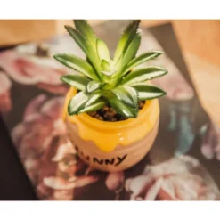 Silver Buffalo Disney Winnie The Pooh Hunny Pot Ceramic Mini Planter With Artificial Succulent -Artificial Plant Shop GUEST 2b3b59a8 d895 43d6 b48a 48a8070c943c