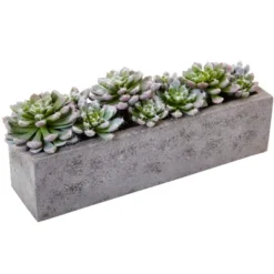 Nearly Natural Succulent Garden With Textured Concrete Planter -Artificial Plant Shop GUEST 2bceae40 1781 4809 8a7e 53025bb21e83