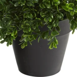 Artificial Plant Shop -Artificial Plant Shop GUEST 2bde3d59 dc30 40aa a36a de3ef28df992