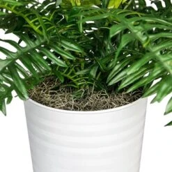 36" Artificial Ribbed Metal Planter Fern In Black Or White - LCG Florals -Artificial Plant Shop GUEST 2d82e2ea fa21 4638 ba52 870e4171926a