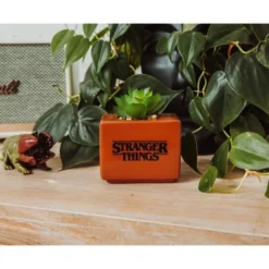 Silver Buffalo Stranger Things Missing Barb 3.75-Inch Ceramic Mini Planter With Artificial Succulent -Artificial Plant Shop GUEST 2e190572 b486 4e7c be4d d6f82b70faa6