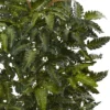 33" Bracken Fern With Decorative Planter - Nearly Natural -Artificial Plant Shop GUEST 32dedc2d c911 4e86 a9c2 2446edfd62aa
