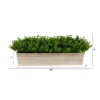 Nearly Natural 19-in Eucalyptus Artificial Plant In Decorative Planter