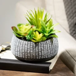 Sullivans Artificial Succulent In Cement Planter 6"H Green -Artificial Plant Shop GUEST 3f407ecb 2531 4435 ac72 f8e930d5b0c1