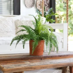 Nearly Natural 22-in Artificial Fern Plant In Decorative Planter -Artificial Plant Shop GUEST 4088ef7e 2061 487f ab90 edee76a64e86