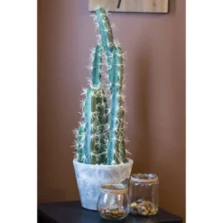 Nearly Natural Decorative Cactus Garden With Cement Planter -Artificial Plant Shop GUEST 42d5a0d1 1da1 44a0 917c 04c40d189bde