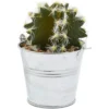 Juvale 4 Pack Artificial Succulents Planter, 4.7 "to 6.5" Green Fake Cactus Plants With Iron Bucket -Artificial Plant Shop GUEST 4690a960 e713 4b41 a48e a02f2f5f7e93