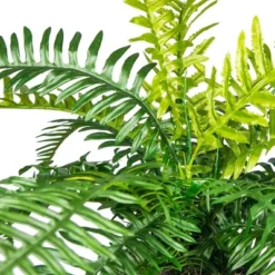 36" Artificial Ribbed Metal Planter Fern In Black Or White - LCG Florals -Artificial Plant Shop GUEST 46c03cf7 73a2 41b7 9ce0 d3f77cfd4d17