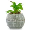 Silver Buffalo Star Wars Death Star 3-Inch Ceramic Mini Planter With Artificial Succulent 2 Silver Buffalo Star Wars Death Star 3-Inch Ceramic Mini Planter With Artificial Succulent -Artificial Plant Shop GUEST 4a658711 f274 404f a891 6247cfa5532c