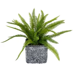 Northlight 20" Boston Fern Artificial Plant In Weathered Square Planter - Green/Gray -Artificial Plant Shop GUEST 4a9220da 12b2 4d6c bf7c 45e0142df62a