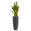 Nearly Natural 3-ft Sansevieria Artificial Plant In Gray Bullet Planter -Artificial Plant Shop GUEST 4b8a8c48 747b 4419 90a7 644a3cff71e8