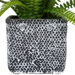 Northlight 20" Boston Fern Artificial Plant In Weathered Square Planter - Green/Gray -Artificial Plant Shop GUEST 4d5cbaad 8202 48ec 8fa6 3c6a923d9aab