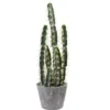 Nearly Natural Decorative Cactus Garden With Cement Planter 1 Nearly Natural Decorative Cactus Garden With Cement Planter -Artificial Plant Shop GUEST 52f5a35f 31b3 40b6 9f3c fdfaff4695d4