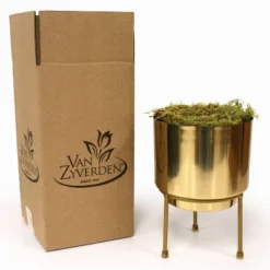 7ct Narcissus Paperwhite Inbal Preplanted Bulbs With Brass Finish Iron Planter And Stand - Van Zyverden -Artificial Plant Shop GUEST 5457c0fb fd81 43fd bd43 23ac6fe322cb