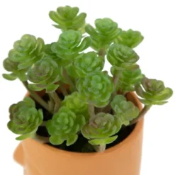 Northlight 5.5" Mini Artificial Succulent In Face Planter Pot -Artificial Plant Shop GUEST 55a0520b 8ac1 4bbc 9eb9 fa86aa194d20