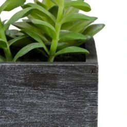 Northlight 23" Artificial Mixed Succulent Plants In A Rectangular Planter -Artificial Plant Shop GUEST 56524abe c9b9 4043 a816 86adb8d65395