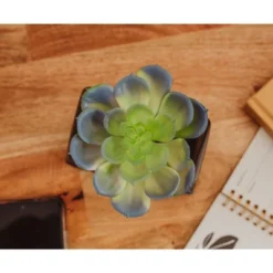 Batman Bat Logo 9x5 Inch Ceramic Planter W/ Artificial Plant -Artificial Plant Shop GUEST 56ac2a18 018b 45ea 9fbd d3519d99cabe