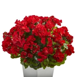 Nearly Natural 27-in Geranium Artificial Plant In White Planter UV Resistant (Indoor/Outdoor), White -Artificial Plant Shop GUEST 59bc723a d0b5 45e5 b0c5 b31d425bc2a8