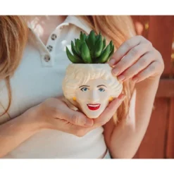 Silver Buffalo The Golden Girls Rose 3.25-Inch Ceramic Mini Planter With Artificial Succulent -Artificial Plant Shop GUEST 59daa2ec cff2 4ada a4e8 68ca83052c11