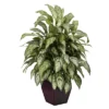 Nearly Natural Silver Queen W/Decorative Planter Silk Plant 38" -Artificial Plant Shop GUEST 59f61cfe 6e42 4346 a8f0 c25f1bcf0e4d