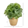 Nearly Natural 11-in Watermelon Peperomia Artificial Plant In Ceramic Planter (Real Touch) -Artificial Plant Shop GUEST 5d755e25 a6de 4472 a47b 22bfb2726a72