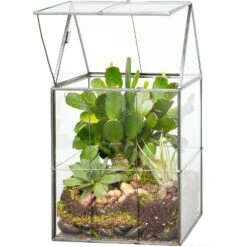 D'Eco Glass Geometric Terrarium For Succulent & Air Plant-Hinged Roof Shaped For Indoor Gardening Decor- Create Your Own Centerpiece (Large 5"x6"x11") -Artificial Plant Shop GUEST 63dec60b d33f 4ae5 936a 07494c9a9e67