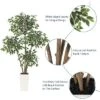 6ft Artificial Ficus Tree,Tall Faux Floor Plant With White Tall Planter White-Edged Leaves,Faux Greenery Tree For Garden Decor -Artificial Plant Shop GUEST 6453a81c 4633 4a61 b065 854ae3f59829