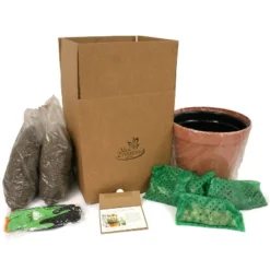 Van Zyverden 41ct Bulbs Affinity Multicolored Spring Blooming Patio Planter Set -Artificial Plant Shop GUEST 6988b6f0 ca0d 4b9e 921d 351965d5cf61