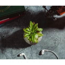 Silver Buffalo Star Wars Death Star 3-Inch Ceramic Mini Planter With Artificial Succulent -Artificial Plant Shop GUEST 6e9a551d 0398 4b1a 973b 42bc94d8970c