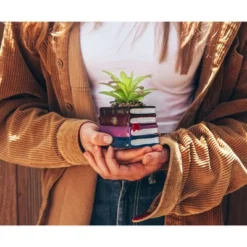 Silver Buffalo Harry Potter Book Stack 3-Inch Ceramic Planter With Artificial Succulent -Artificial Plant Shop GUEST 6f22fbe4 187f 424f 99b9 484778572f30