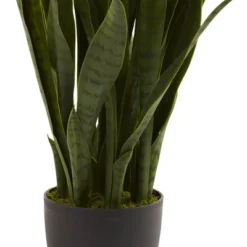 Nearly Natural Sansevieria With Black Planter -Artificial Plant Shop GUEST 719febc9 f088 4073 9b7a 5b9f27b56d6b